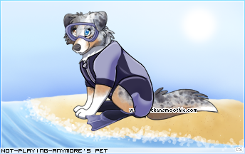 Dressed pet
