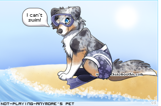 Dressed pet