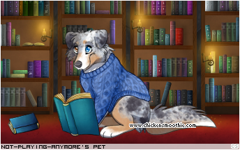 Dressed pet