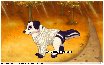 Dressed pet