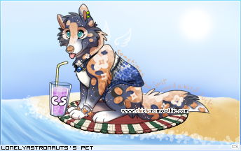 Dressed pet