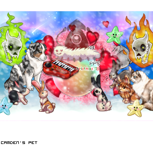 Dressed pet
