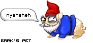 Dressed pet