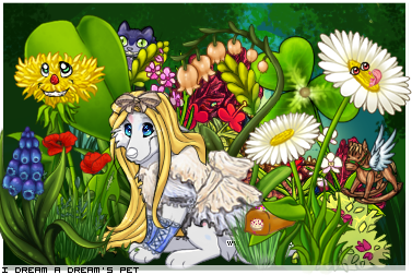 Dressed pet