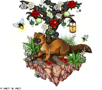 Dressed pet