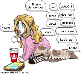 Dressed pet