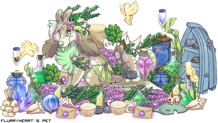 Dressed pet