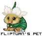 Dressed pet