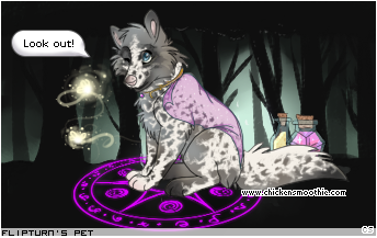 Dressed pet