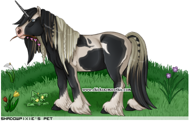 Dressed pet