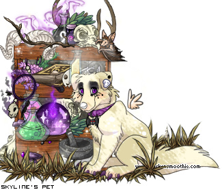 Dressed pet