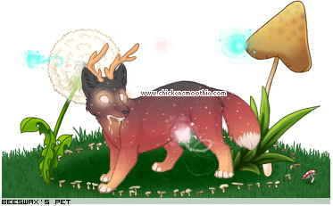 Dressed pet