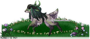 Dressed pet