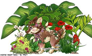 Dressed pet