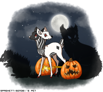 Dressed pet