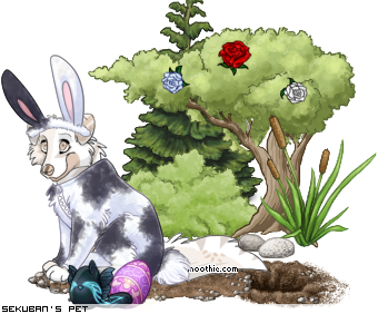 Dressed pet
