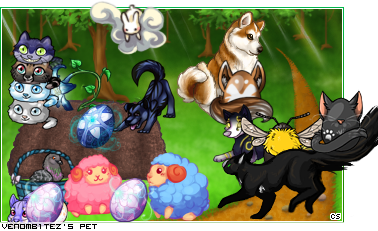 Dressed pet