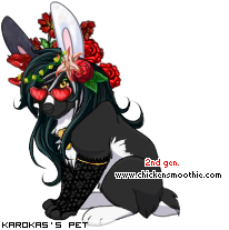 Dressed pet