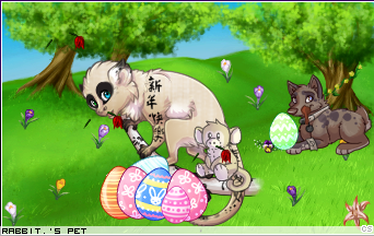 Dressed pet