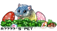 Dressed pet