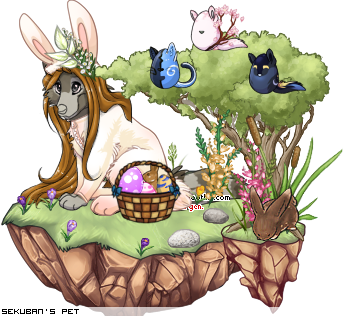 Dressed pet