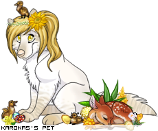 Dressed pet