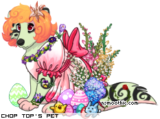 Dressed pet