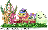 Dressed pet