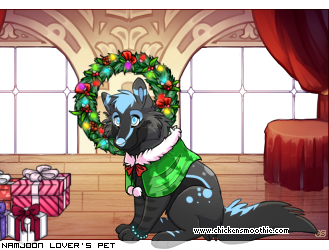 Dressed pet