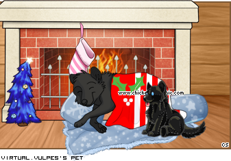 Dressed pet
