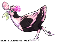 Dressed pet