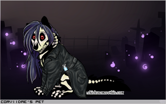 Dressed pet