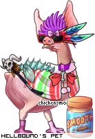 Dressed pet