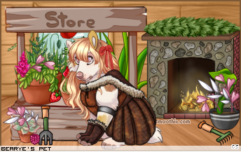 Dressed pet