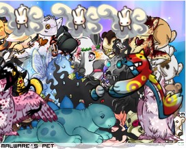 Dressed pet