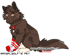 Dressed pet
