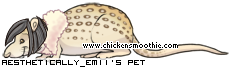 Dressed pet