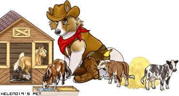 Dressed pet