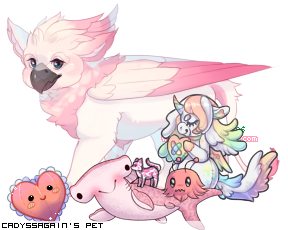 Dressed pet