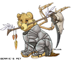 Dressed pet