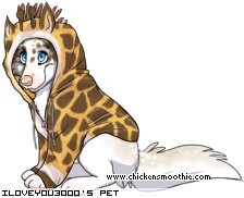 Dressed pet