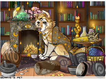 Dressed pet