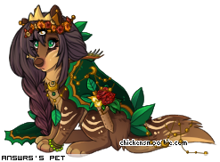 Dressed pet
