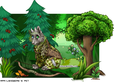 Dressed pet