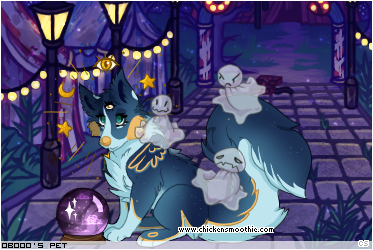 Dressed pet