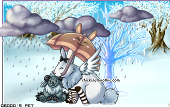 Dressed pet