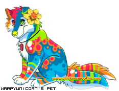 Dressed pet
