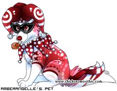 Dressed pet