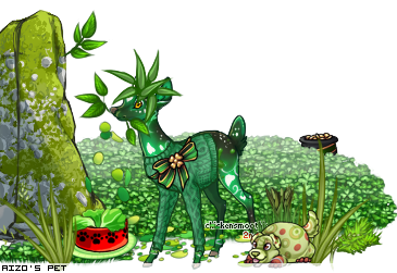 Dressed pet