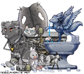Dressed pet